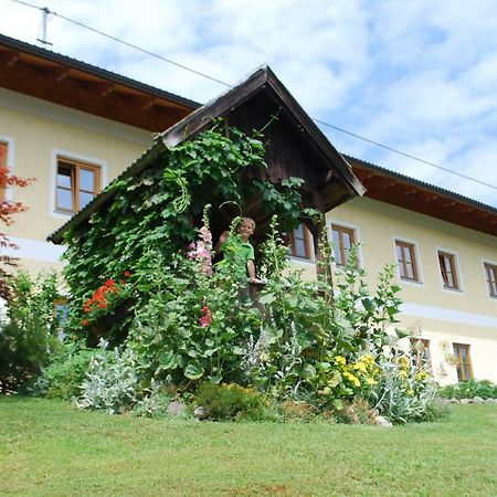 Bauernhof "Unteres Feld" Villa Altmünster Екстериор снимка