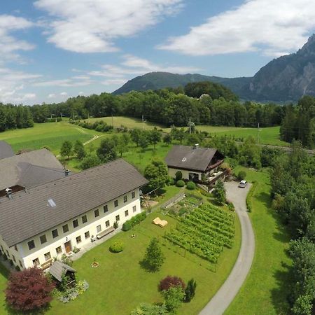 Bauernhof "Unteres Feld" Villa Altmünster Екстериор снимка